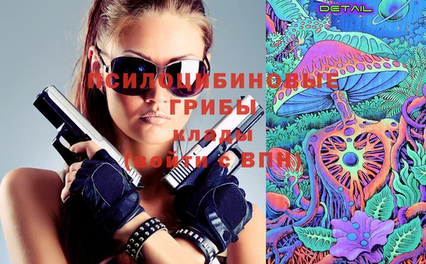 героин Алексин