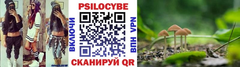 Псилоцибиновые грибы Psilocybe  Нарьян-Мар 