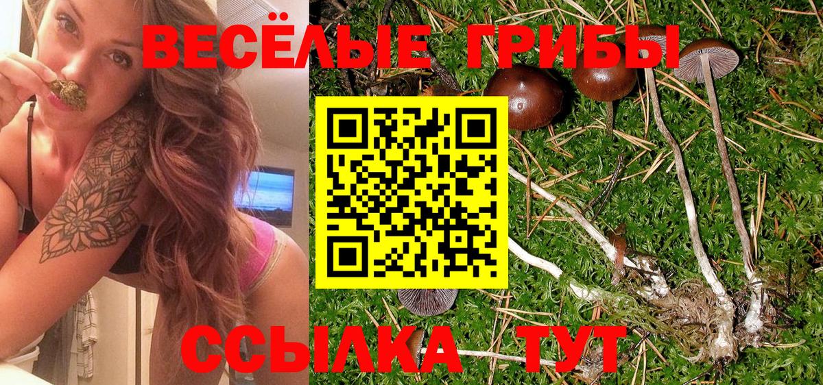 Галлюциногенные грибы MAGIC MUSHROOMS  Вход с VPN  где можно купить   Псилоцибиновые грибы Magic Shrooms  Нарьян-Мар 